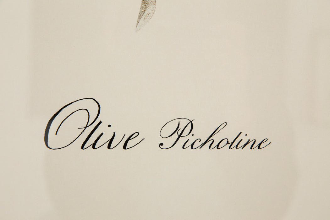OLIVE PICHOLINE Rahmen