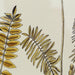 ASTRAGALUS HIANS Rahmen