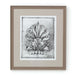 DECORATIVE ORNAMENT Rahmen – Modell 1