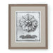 DECORATIVE ORNAMENT Rahmen – Modell 2