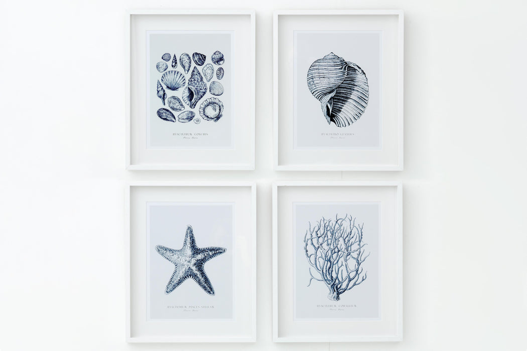 SEASHELLS Rahmen, 4er-Set