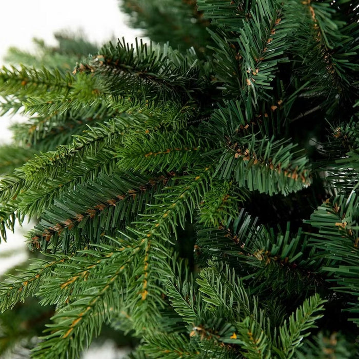 Weihnachtsbaum Pinus