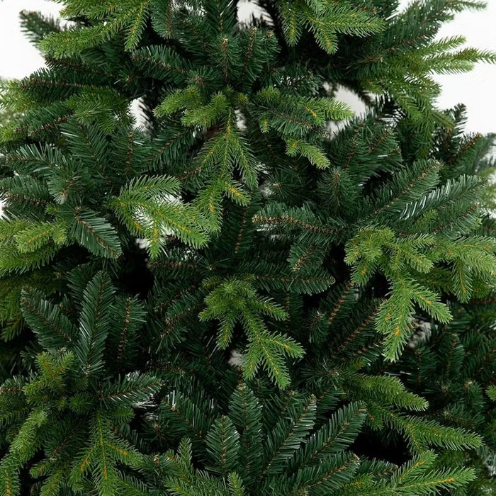 Weihnachtsbaum Pinus