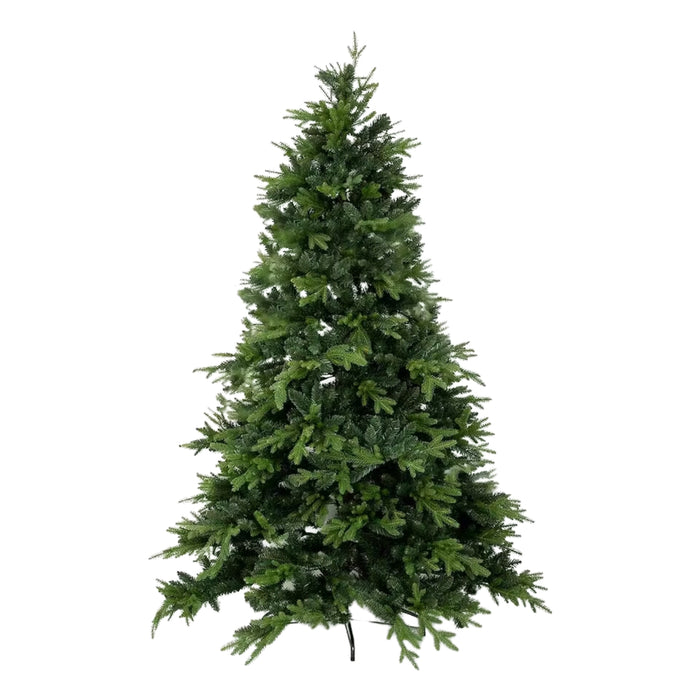 Weihnachtsbaum Pinus