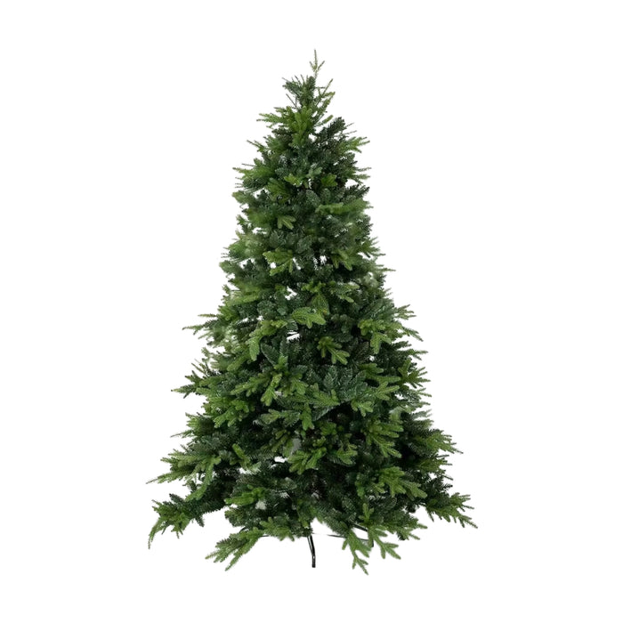 Weihnachtsbaum Pinus