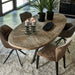 Esstisch Falcon Crest, 230x105 - Betten Ritter Living